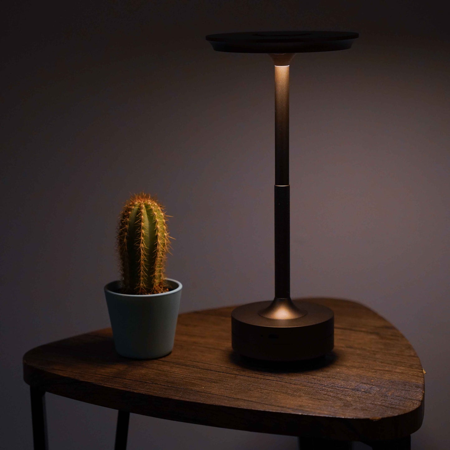 Sadeh Mocha Rechargeable Touch Table Lamp